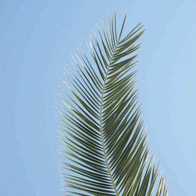 棋牌游戏app下载